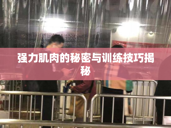 强力肌肉的秘密与训练技巧揭秘
