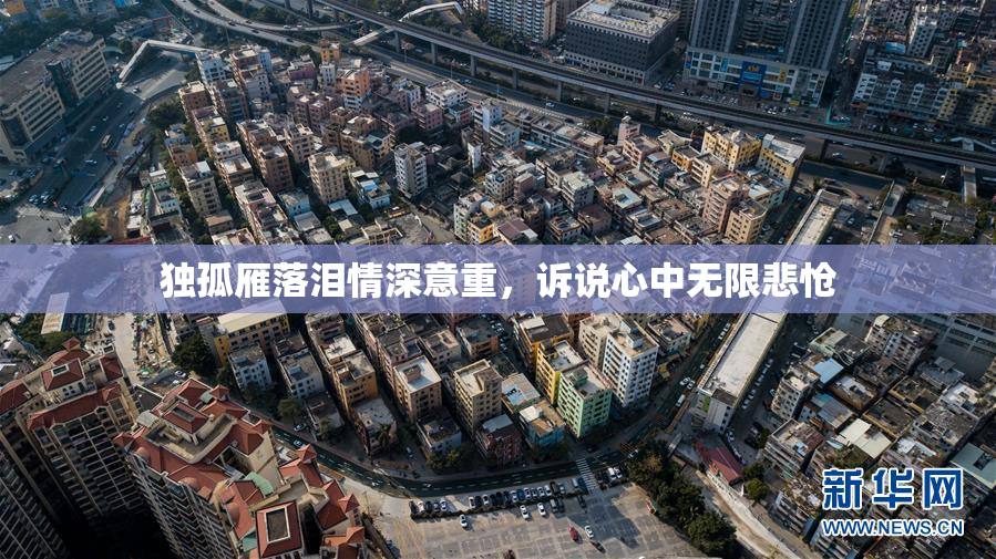 独孤雁落泪情深意重，诉说心中无限悲怆