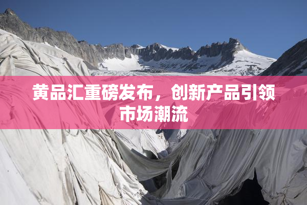 黄品汇重磅发布，创新产品引领市场潮流
