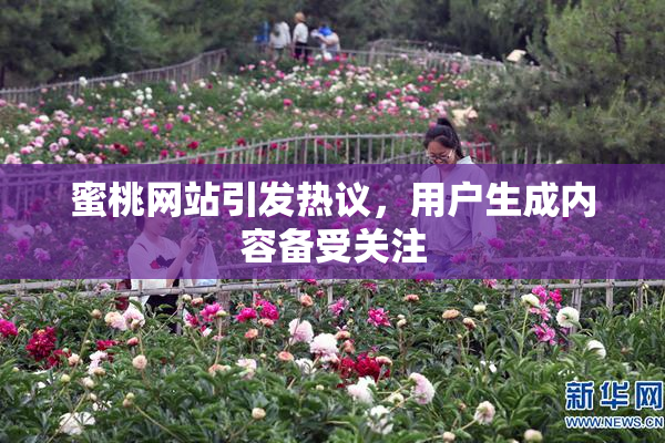 蜜桃网站引发热议，用户生成内容备受关注
