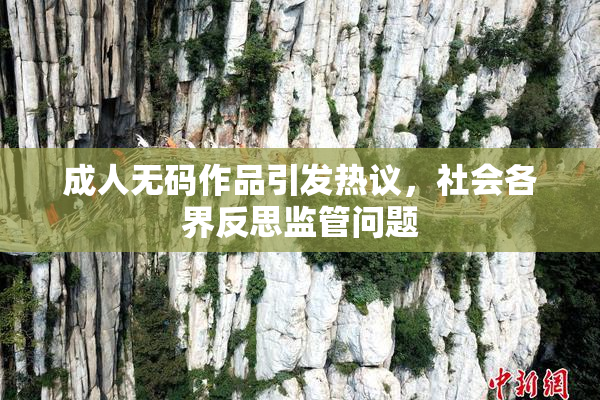 成人无码作品引发热议，社会各界反思监管问题