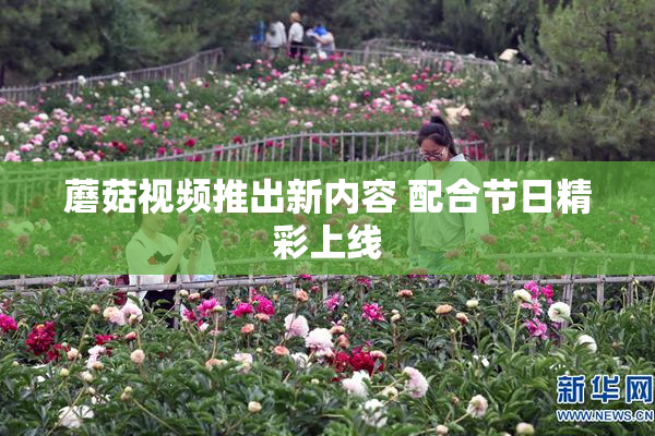 蘑菇视频推出新内容 配合节日精彩上线