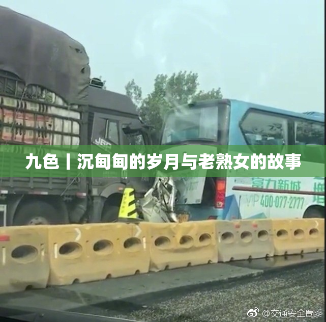 九色丨沉甸甸的岁月与老熟女的故事