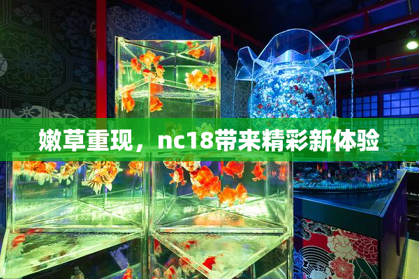 嫩草重现，nc18带来精彩新体验