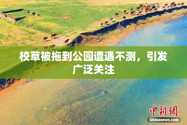 校草被拖到公园遭遇不测，引发广泛关注