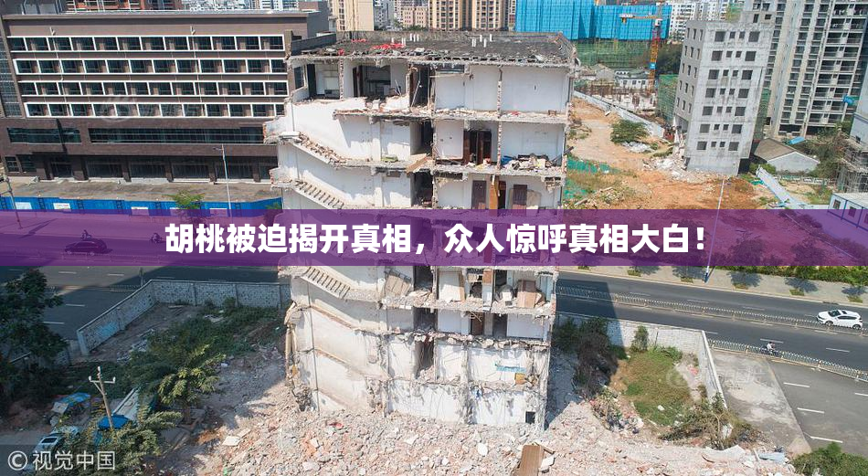 胡桃被迫揭开真相，众人惊呼真相大白！