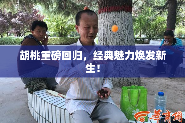 胡桃重磅回归，经典魅力焕发新生！
