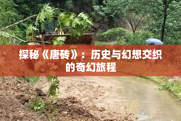 探秘《唐砖》：历史与幻想交织的奇幻旅程