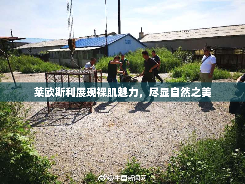 莱欧斯利展现裸肌魅力，尽显自然之美
