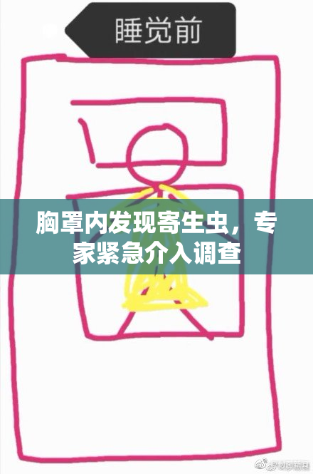 胸罩内发现寄生虫，专家紧急介入调查