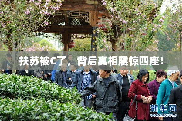 扶苏被C了，背后真相震惊四座！