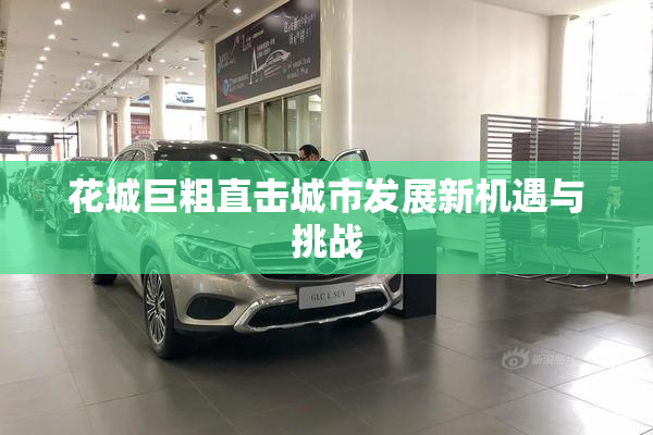 花城巨粗直击城市发展新机遇与挑战