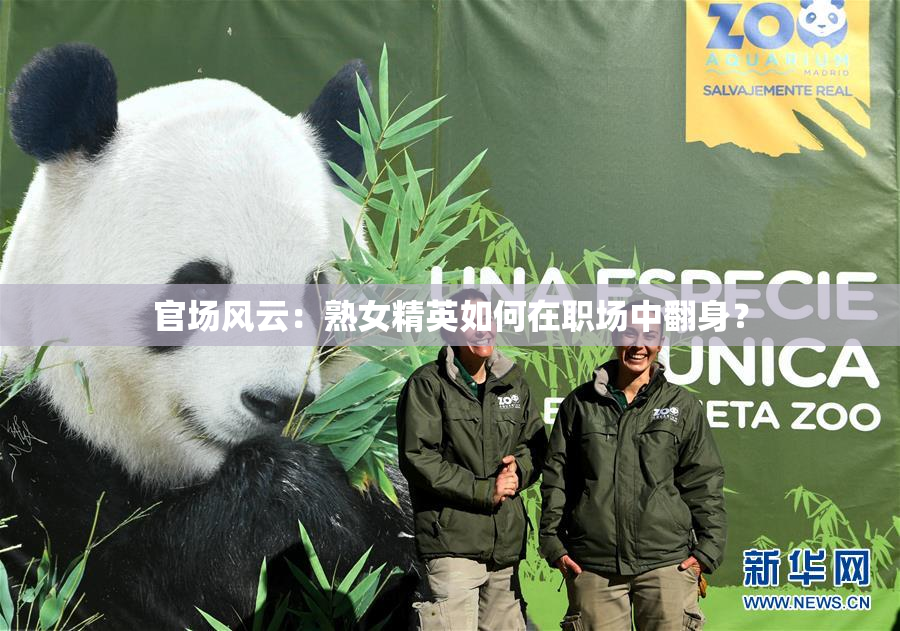 官场风云：熟女精英如何在职场中翻身？