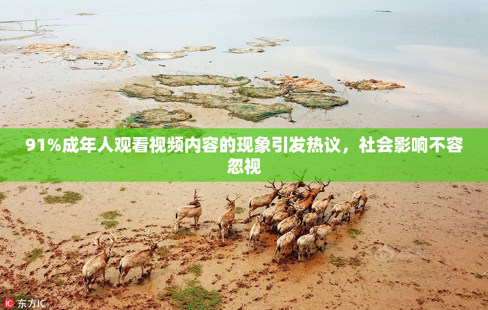 91%成年人观看视频内容的现象引发热议，社会影响不容忽视