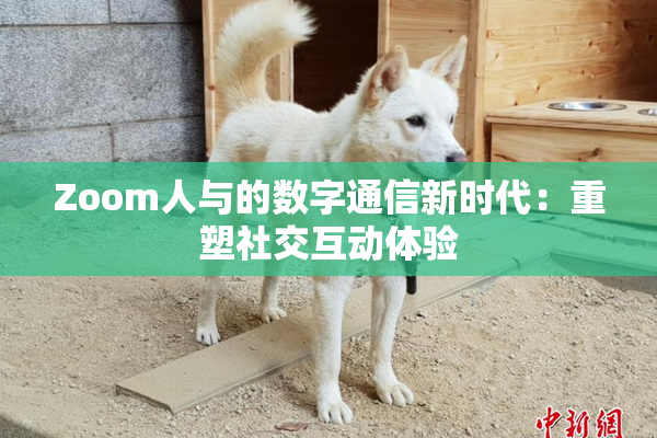 Zoom人与的数字通信新时代：重塑社交互动体验
