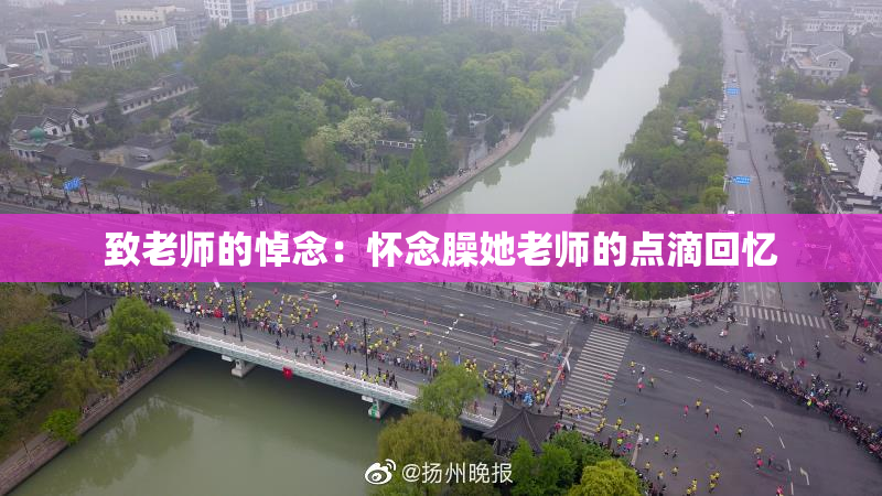 致老师的悼念：怀念臊她老师的点滴回忆