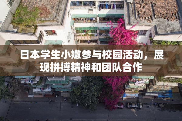 日本学生小嫩参与校园活动，展现拼搏精神和团队合作