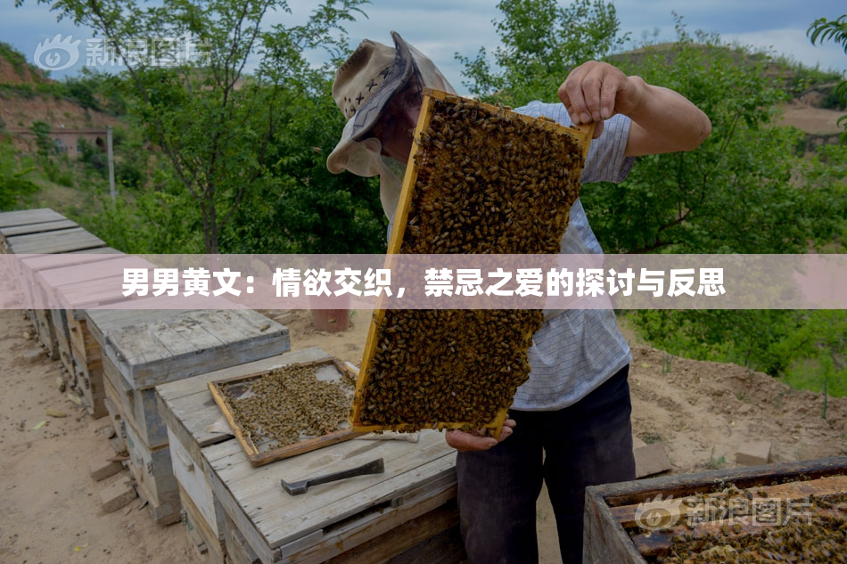 男男黄文：情欲交织，禁忌之爱的探讨与反思