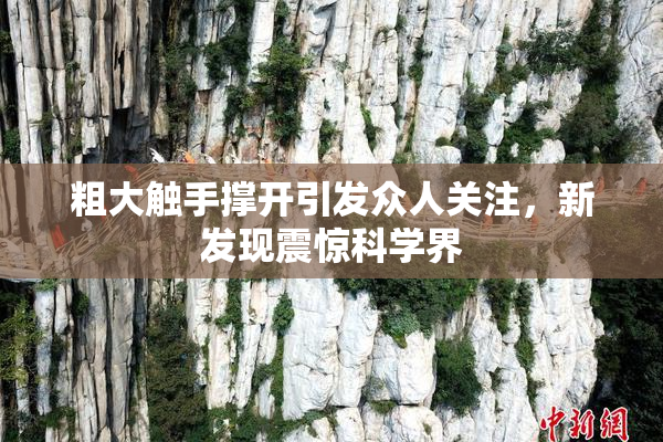 粗大触手撑开引发众人关注，新发现震惊科学界