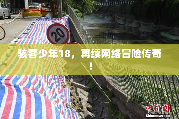骇客少年18，再续网络冒险传奇！