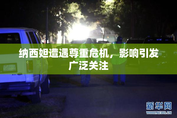 纳西妲遭遇尊重危机，影响引发广泛关注