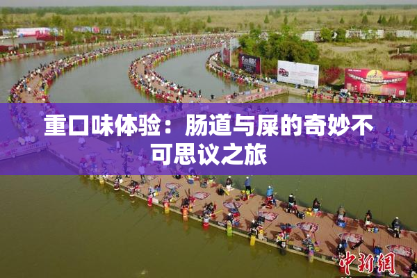 重口味体验：肠道与屎的奇妙不可思议之旅