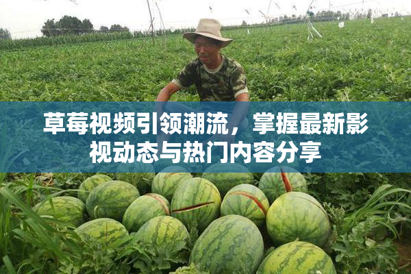 草莓视频引领潮流，掌握最新影视动态与热门内容分享