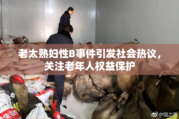 老太熟妇性B事件引发社会热议，关注老年人权益保护