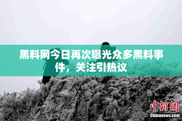 黑料网今日再次曝光众多黑料事件，关注引热议