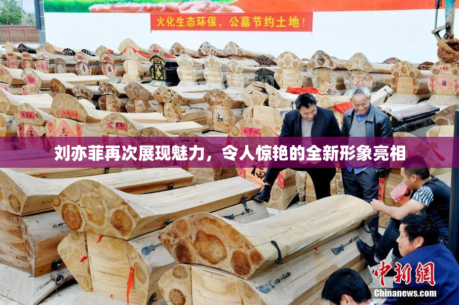刘亦菲再次展现魅力，令人惊艳的全新形象亮相
