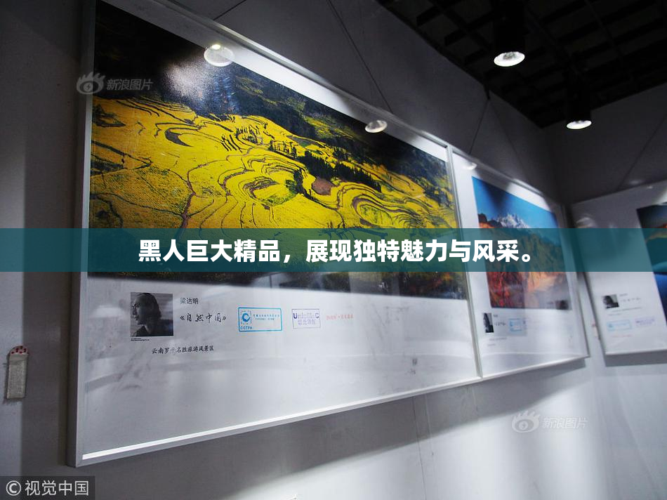 黑人巨大精品，展现独特魅力与风采。