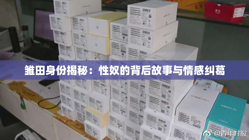 雏田身份揭秘：性奴的背后故事与情感纠葛
