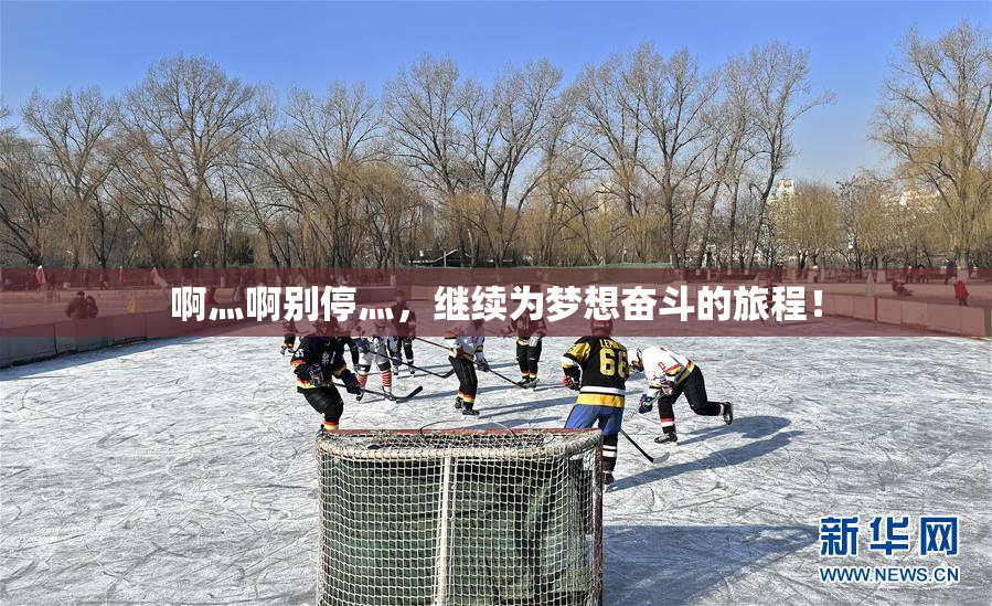 啊灬啊别停灬，继续为梦想奋斗的旅程！