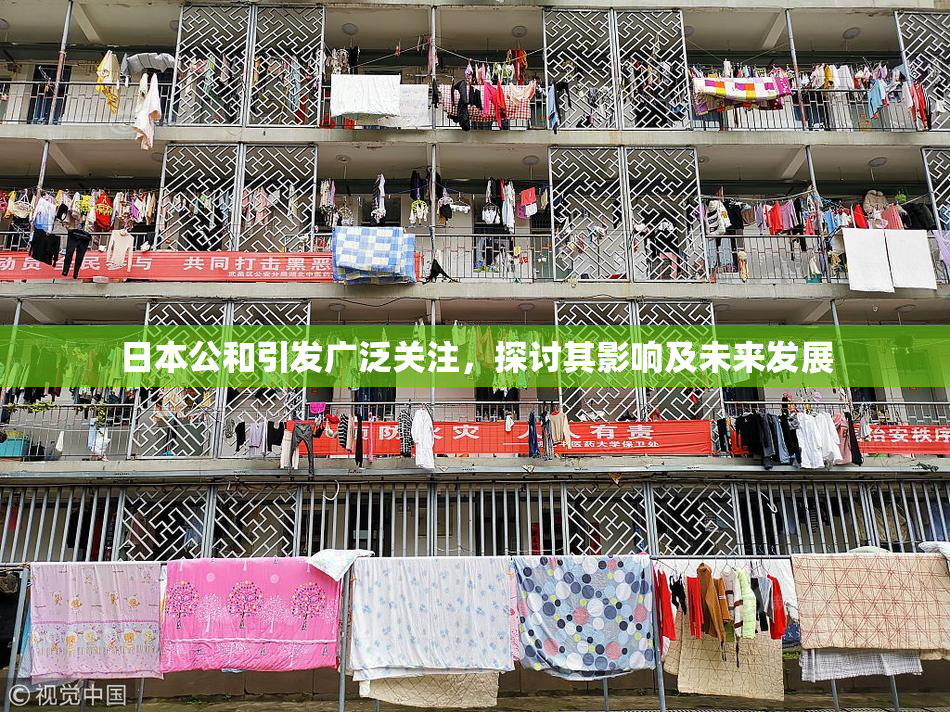 日本公和引发广泛关注，探讨其影响及未来发展