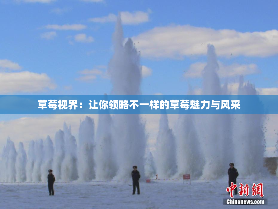 草莓视界：让你领略不一样的草莓魅力与风采