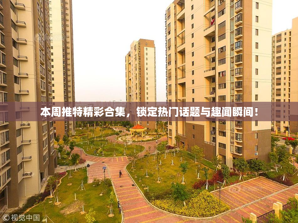 本周推特精彩合集，锁定热门话题与趣闻瞬间！