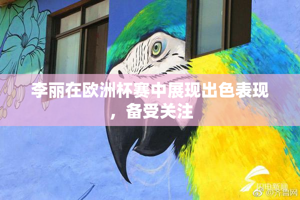李丽在欧洲杯赛中展现出色表现，备受关注