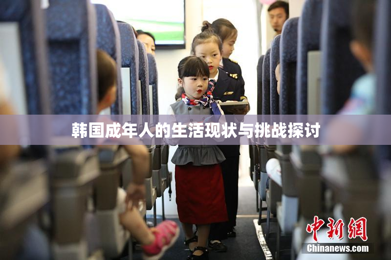 韩国成年人的生活现状与挑战探讨