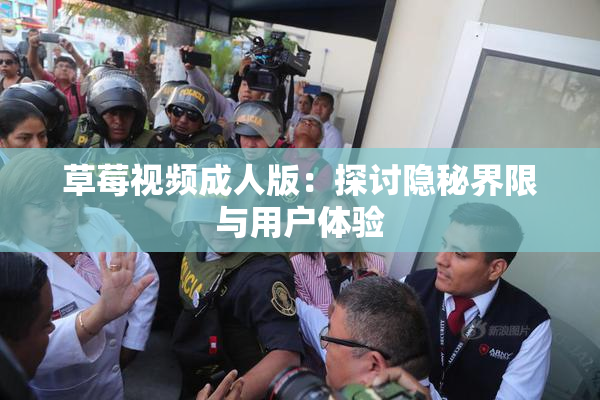 草莓视频成人版：探讨隐秘界限与用户体验