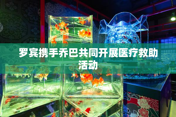 罗宾携手乔巴共同开展医疗救助活动
