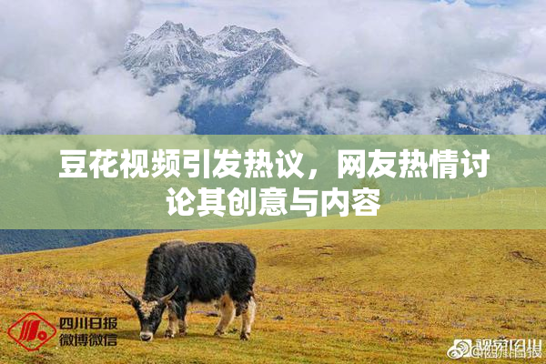 豆花视频引发热议，网友热情讨论其创意与内容