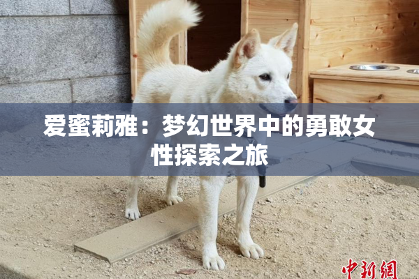 爱蜜莉雅：梦幻世界中的勇敢女性探索之旅