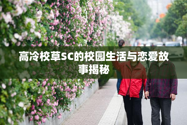 高冷校草SC的校园生活与恋爱故事揭秘
