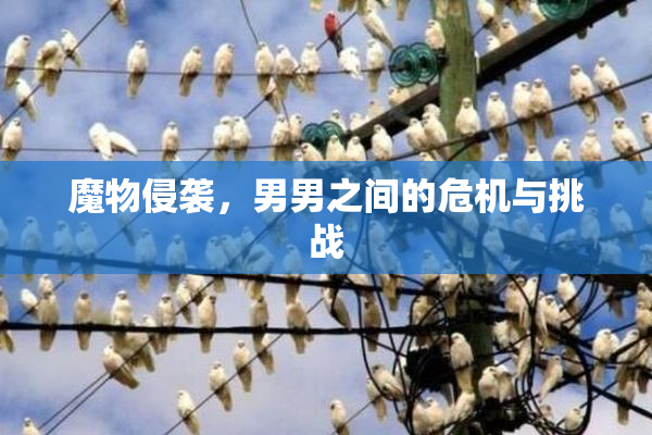 魔物侵袭，男男之间的危机与挑战