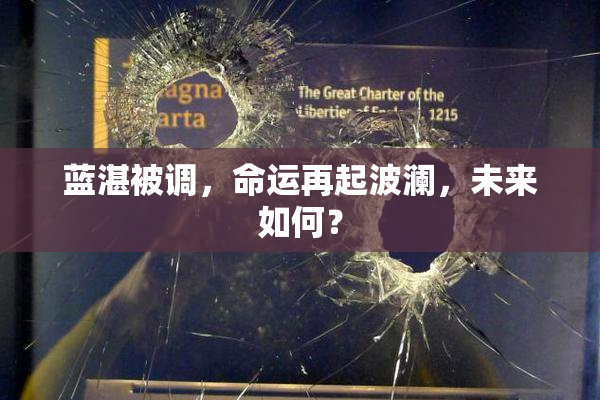 蓝湛被调，命运再起波澜，未来如何？