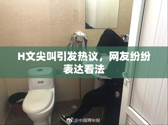 H文尖叫引发热议，网友纷纷表达看法