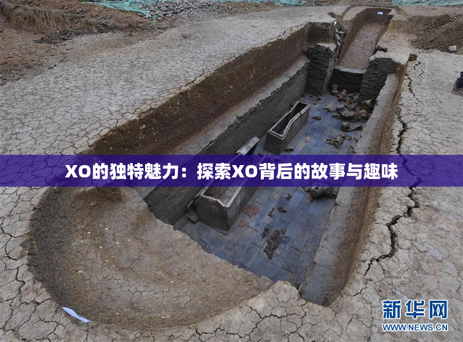 XO的独特魅力：探索XO背后的故事与趣味