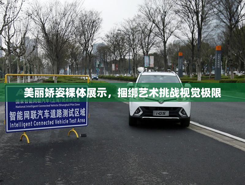 美丽娇姿裸体展示，捆绑艺术挑战视觉极限