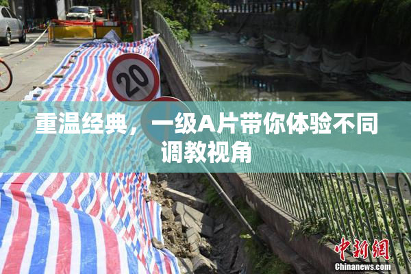 重温经典，一级A片带你体验不同调教视角