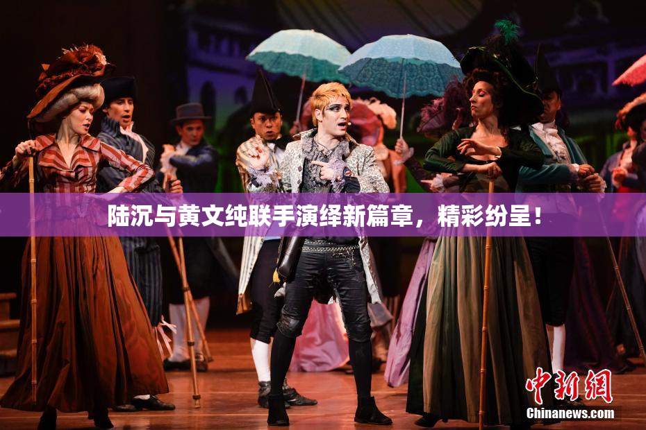 陆沉与黄文纯联手演绎新篇章，精彩纷呈！